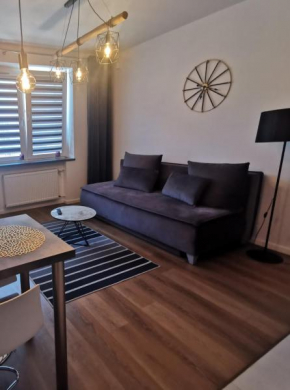 Apartament Platynowy w Centrum Miasta